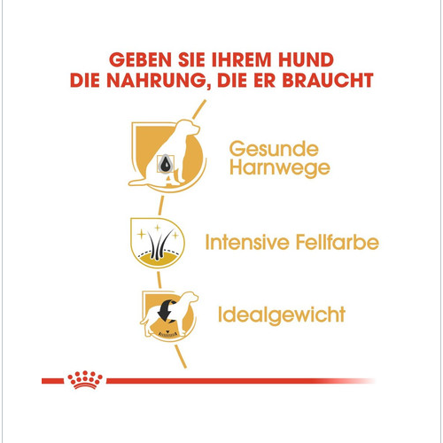 ROYAL CANIN Miniature Schnauzer Adult Hundefutter trocken für Zwergschnauzer 15 kg