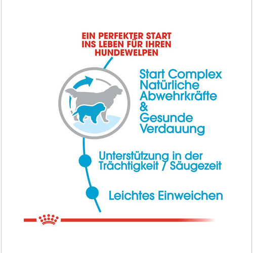 ROYAL CANIN GIANT Starter für tragende Hündin und Welpen 15 kg