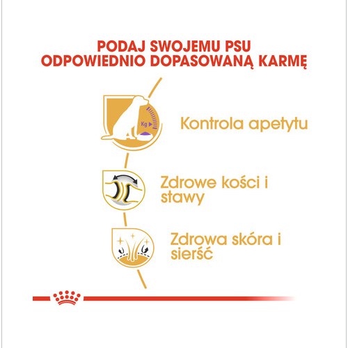 ROYAL CANIN Labrador retriever adult sterilised