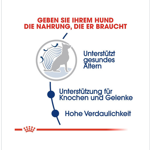 ROYAL CANIN MAXI Ageing 8+ Trockenfutter für ausgewachsene Hunde, große Rassen 15 kg