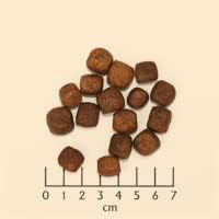 Wolfsblut Cold River 12.5 kg Trout Dry Food Dog Food Grain Free