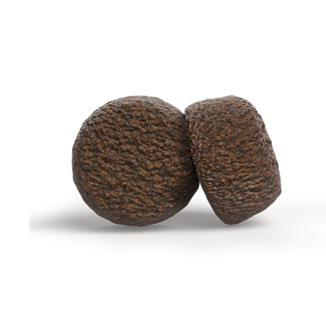 Josera 12.5 KG High Protein Junior Sea Fish proteinreiches Welpenfutter für aktive Junghunde