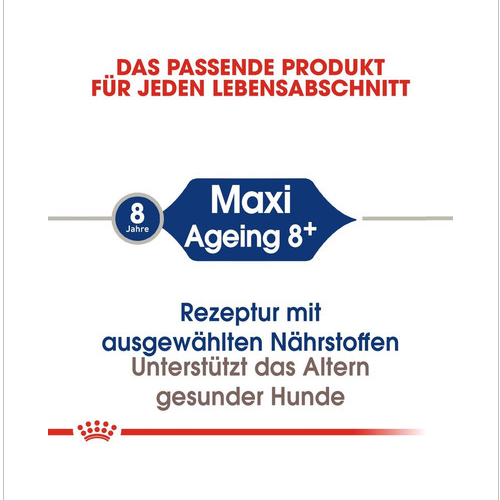 ROYAL CANIN MAXI Ageing 8+ Trockenfutter für ausgewachsene Hunde, große Rassen 15 kg