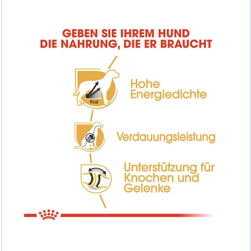 ROYAL CANIN Great Dane Adult Hundefutter trocken für Deutsche Doggen 12 kg