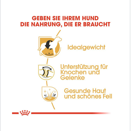 ROYAL CANIN Labrador Retriever Adult Hundefutter trocken 12 kg