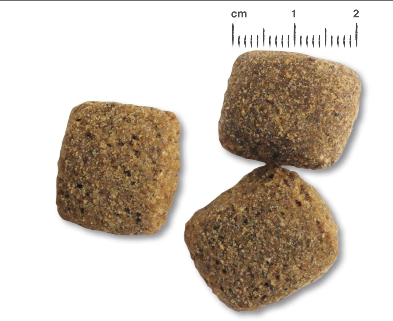 Belcando 12.5 KG Adult Grain Free Ocean Dod Food