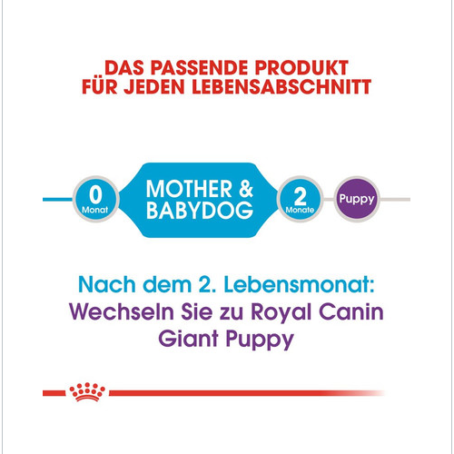 ROYAL CANIN GIANT Starter für tragende Hündin und Welpen 15 kg