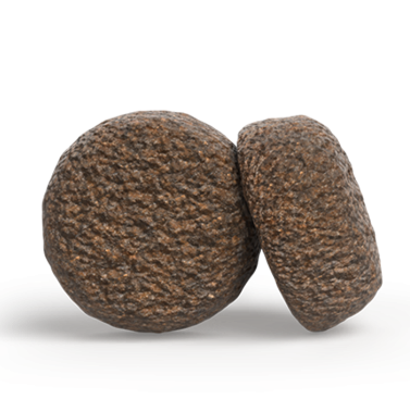 Josera 12.5 kg Hypoallergenic getreidefreies Trockenfutter für empfindliche Hunde