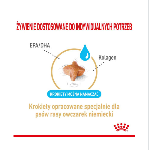 ROYAL CANIN German Shepherd Adult 5+   12 kg