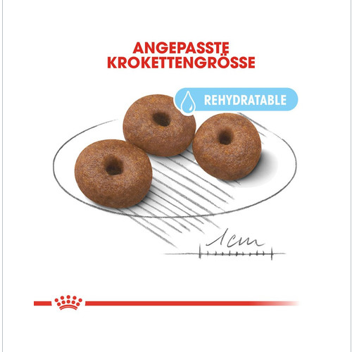 ROYAL CANIN GIANT Starter für tragende Hündin und Welpen 15 kg